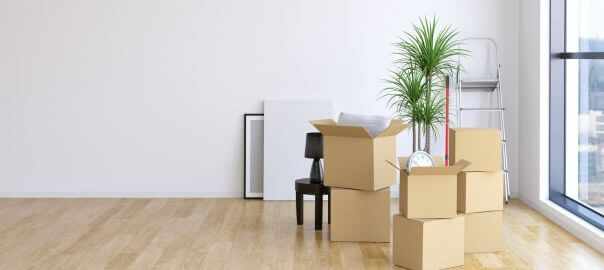 déménagement, cartons, affaires